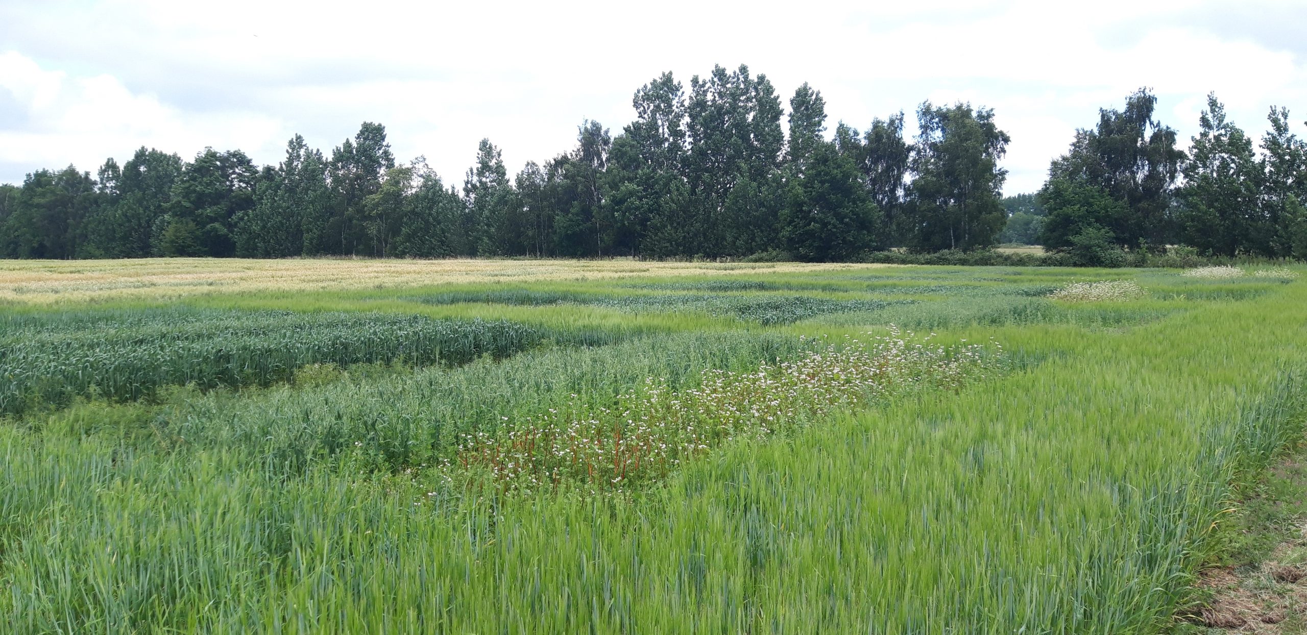Section header image 1/3